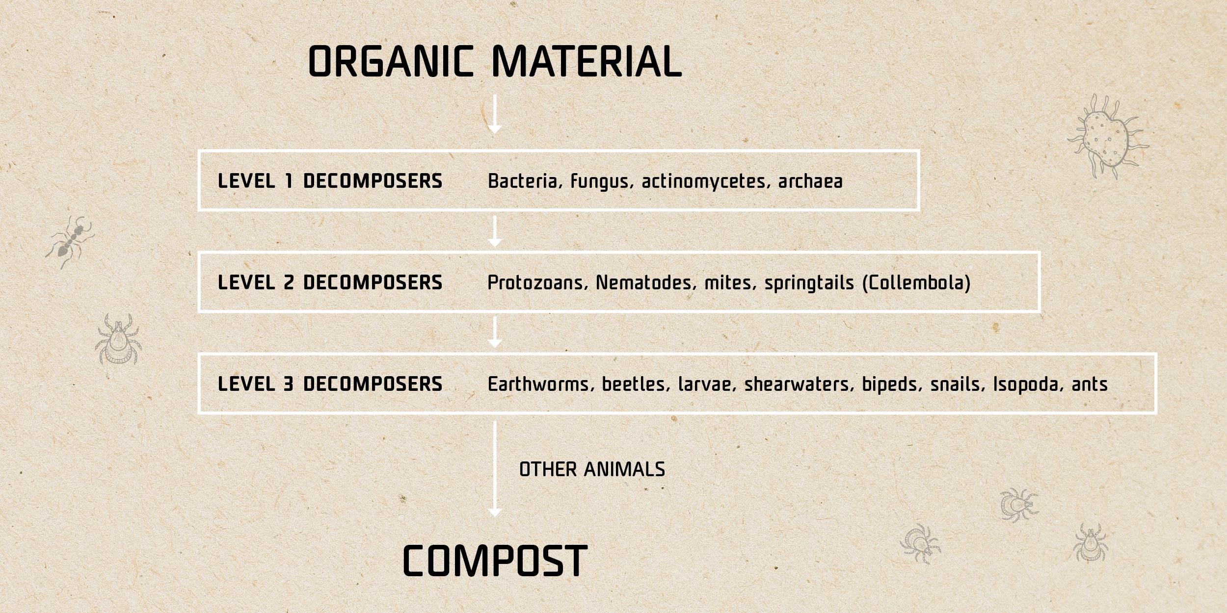 Three main levels of composting organisms